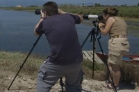 Distancia focal a 180mm ( el campo de visión es más reducido )