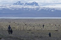 iceland-hvitames