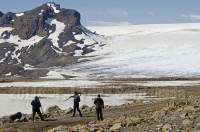 iceland-skalpanes