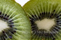 Kiwi crop, close-up