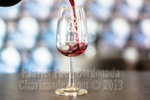 Baron de laJoyosa 2005 red reserve wine,  ninth position on TOP 100 WINES OF THE WORLD 2013. Ignacio Marin Winery, from Cariñena Origin Denomination celebrates this international award.