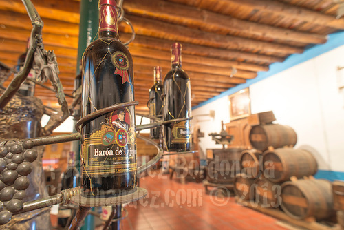 Baron de laJoyosa 2005 red reserve wine,  ninth position on TOP 100 WINES OF THE WORLD 2013. Ignacio Marin Winery, from Cariñena Origin Denomination celebrates this international award.