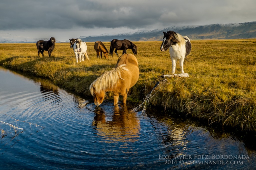 ISLANDIA-VIAJE-FOTOGRAFICO-AUTUMN-2-14