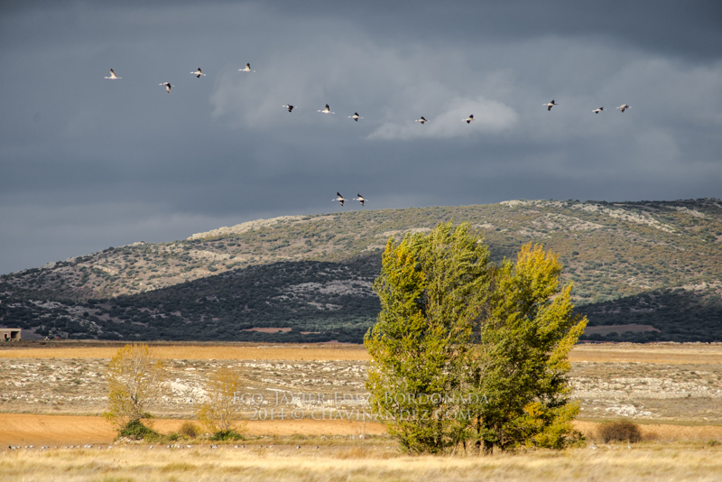 GallocantaLagoon2014-23