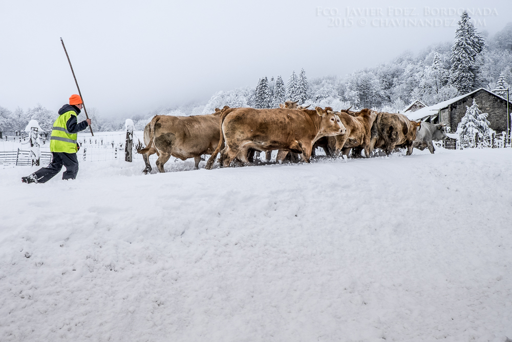 WORKSHOP-RONCESVALLES2015