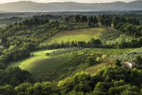 Panoramic views of Vineyards and fields in SanGimignano, Tuscany, Italy